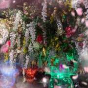 ヒメ日記 2026/09/22 16:30 投稿 あゆみ 奥鉄オクテツ東京店（デリヘル市場）