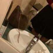 新人まひな [お題]from:ピンキーさん Rips（リップス）