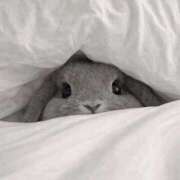 れん ᴛʜᴀɴᴋ ʏᴏᴜ ☽‪‪❤︎‬ アイドルドリーム