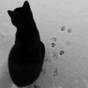 れん おねがい ( .. )‪‪❤︎‬ アイドルドリーム