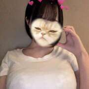 ヒメ日記 2026/05/11 22:50 投稿 とあ★SS級Gカップヒロイン★ Chloe鶯谷・上野店 S級素人清楚系デリヘル