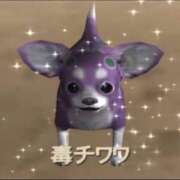 ヒメ日記 2026/08/11 00:08 投稿 とあ★SS級Gカップヒロイン★ Chloe鶯谷・上野店 S級素人清楚系デリヘル