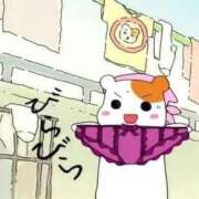 ヒメ日記 2026/08/23 14:31 投稿 とあ★SS級Gカップヒロイン★ Chloe鶯谷・上野店 S級素人清楚系デリヘル