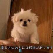 とあ★SS級Gカップヒロイン★ 【次回予告】 Chloe鶯谷・上野店 S級素人清楚系デリヘル