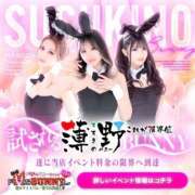 ヒメ日記 2026/05/11 15:15 投稿 みく ドMなバニーちゃん すすきの店