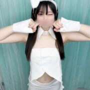 ヒメ日記 2026/04/23 23:16 投稿 あかり めちゃカワ女子 小田原早川店