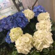 ヒメ日記 2026/06/21 19:31 投稿 あゆ 秋葉原コスプレ学園(AKG)