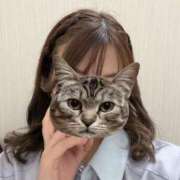 ヒメ日記 2026/10/12 19:00 投稿 あゆ 秋葉原コスプレ学園(AKG)