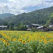 ヒメ日記 2026/07/28 22:32 投稿 なのは ピンクコレクション尼崎店