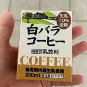 ヒメ日記 2026/05/15 23:06 投稿 のえる 横浜ひよこ倶楽部