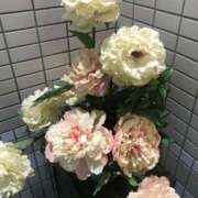 ヒメ日記 2026/05/14 14:58 投稿 加賀美（かがみ） 熟女の風俗最終章 名古屋店