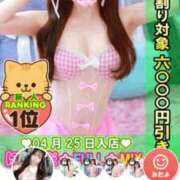 ヒメ日記 2026/05/09 05:14 投稿 初めてのお仕事さくら にゃんだ☆full☆MIX（にゃんだふるみっくす）