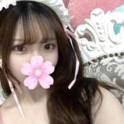 ヒメ日記 2026/05/10 14:26 投稿 初めてのお仕事さくら にゃんだ☆full☆MIX（にゃんだふるみっくす）