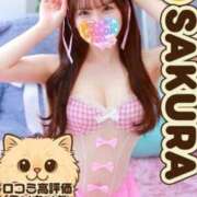 ヒメ日記 2026/05/26 19:59 投稿 初めてのお仕事さくら にゃんだ☆full☆MIX（にゃんだふるみっくす）