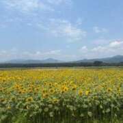 神楽 律 🌻 CASA BIANCA（カーサ・ビアンカ）