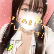 ヒメ日記 2026/04/20 12:43 投稿 しの カルテDayShift