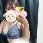 ヒメ日記 2026/05/31 09:02 投稿 しの カルテDayShift