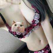 ヒメ日記 2026/04/23 08:30 投稿 あすか ラブコレ