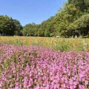 ヒメ日記 2026/08/26 16:59 投稿 エルサ 頂SPA -ITADAKI SPA