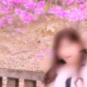 ヒメ日記 2026/04/23 11:04 投稿 石野紗良 プレジデントハウス