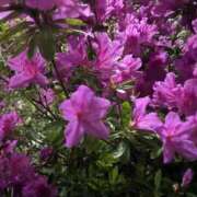 ヒメ日記 2026/04/22 23:59 投稿 梅野 鶯谷デッドボール