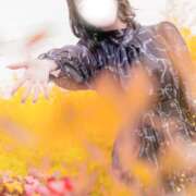 ヒメ日記 2026/10/20 19:31 投稿 桜なな 華椿