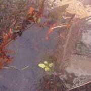 ヒメ日記 2025/01/20 09:59 投稿 高瀬 人妻楼 熊谷店