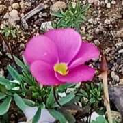 ヒメ日記 2025/02/07 18:11 投稿 高瀬 人妻楼 熊谷店