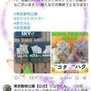 ヒメ日記 2025/02/17 18:15 投稿 高瀬 人妻楼 熊谷店