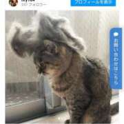 ヒメ日記 2025/02/20 18:05 投稿 高瀬 人妻楼 熊谷店