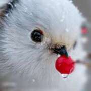 ヒメ日記 2025/03/07 18:20 投稿 高瀬 人妻楼 熊谷店