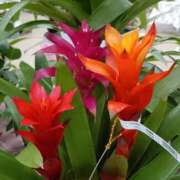 ヒメ日記 2025/03/09 17:50 投稿 高瀬 人妻楼 熊谷店