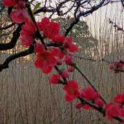 ヒメ日記 2025/03/27 17:16 投稿 高瀬 人妻楼 熊谷店