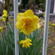 ヒメ日記 2025/04/02 17:21 投稿 高瀬 人妻楼 熊谷店