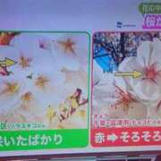 ヒメ日記 2025/04/04 16:49 投稿 高瀬 人妻楼 熊谷店