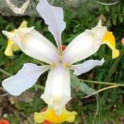 ヒメ日記 2025/04/23 16:10 投稿 高瀬 人妻楼 熊谷店