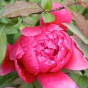 ヒメ日記 2025/04/24 19:01 投稿 高瀬 人妻楼 熊谷店