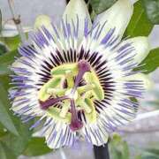 ヒメ日記 2025/05/22 19:30 投稿 高瀬 人妻楼 熊谷店