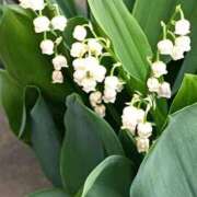 ヒメ日記 2025/05/26 20:37 投稿 高瀬 人妻楼 熊谷店