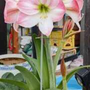 ヒメ日記 2025/05/27 20:01 投稿 高瀬 人妻楼 熊谷店