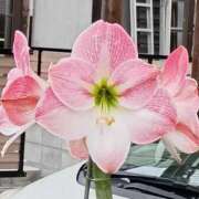 ヒメ日記 2025/05/30 17:19 投稿 高瀬 人妻楼 熊谷店