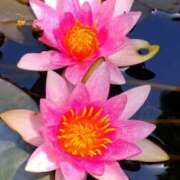 ヒメ日記 2025/06/14 15:56 投稿 高瀬 人妻楼 熊谷店