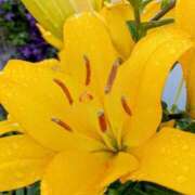 ヒメ日記 2025/06/15 18:57 投稿 高瀬 人妻楼 熊谷店