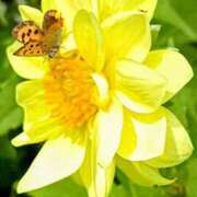 ヒメ日記 2025/06/18 16:58 投稿 高瀬 人妻楼 熊谷店