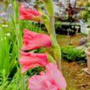 ヒメ日記 2025/06/20 16:45 投稿 高瀬 人妻楼 熊谷店