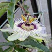 ヒメ日記 2025/06/23 09:38 投稿 高瀬 人妻楼 熊谷店