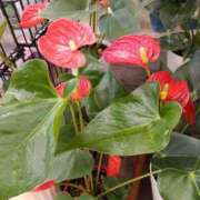 ヒメ日記 2025/06/24 17:29 投稿 高瀬 人妻楼 熊谷店