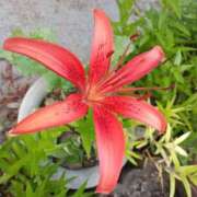 ヒメ日記 2025/06/30 12:00 投稿 高瀬 人妻楼 熊谷店