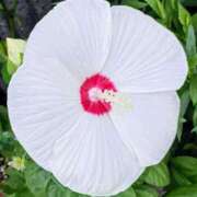 ヒメ日記 2025/07/05 20:02 投稿 高瀬 人妻楼 熊谷店