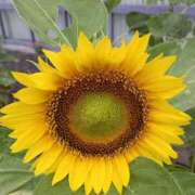 ヒメ日記 2025/07/08 15:32 投稿 高瀬 人妻楼 熊谷店